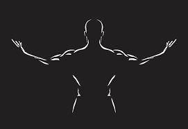 Gamma Full Body Workout + Broad Mesomorphic Golden Ratio Skeletal
