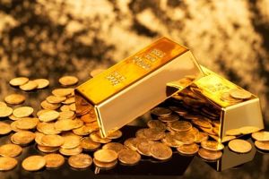 Wealth, Prosperity, Abundance & Diplomatic Immunity Morphic Field