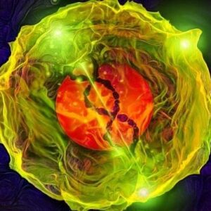 Smart Stem Cells by Sapien Medicine