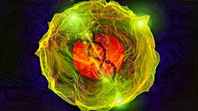 Smart Stem Cells by Sapien Medicine