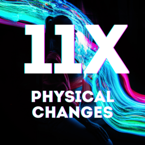 11 x Manual & Physical Changes [DM+ Audio]