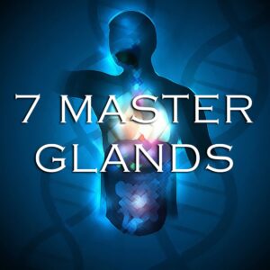 7 Master Glands