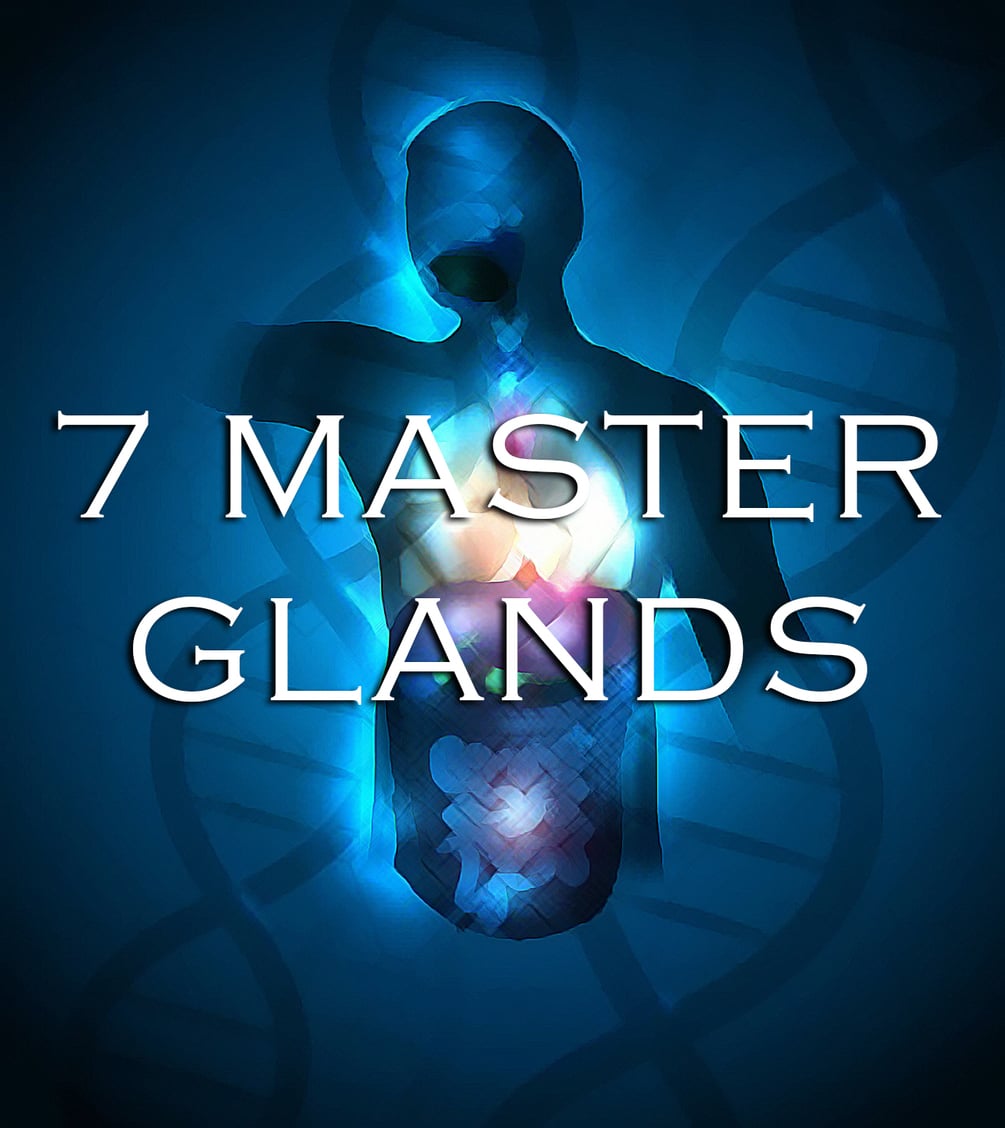 7 Master Glands