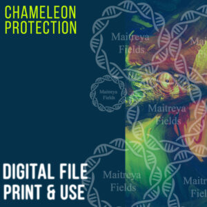 Chameleon Protection - Energy Protection [DM + Audio]