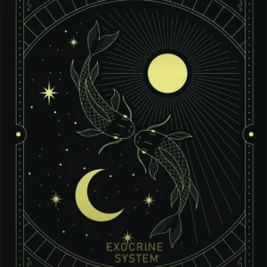 Blueprint of the Exocrine System — DM + Audio