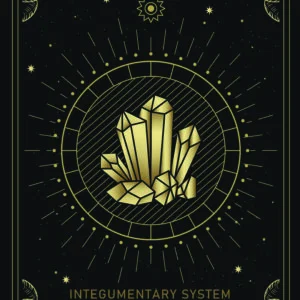 Blueprint of the Integumentary System — DM + Audio