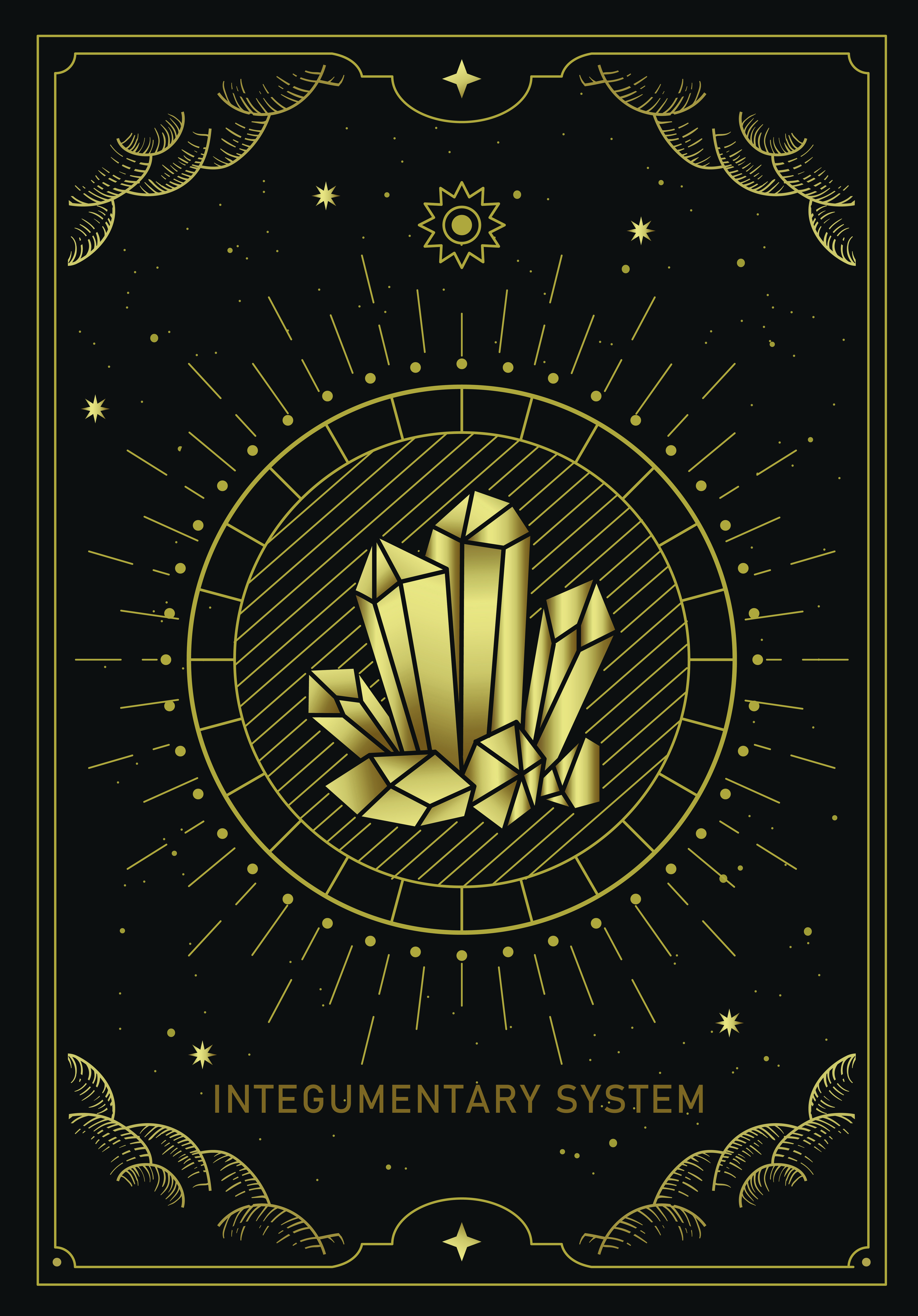 Blueprint of the Integumentary System — DM + Audio