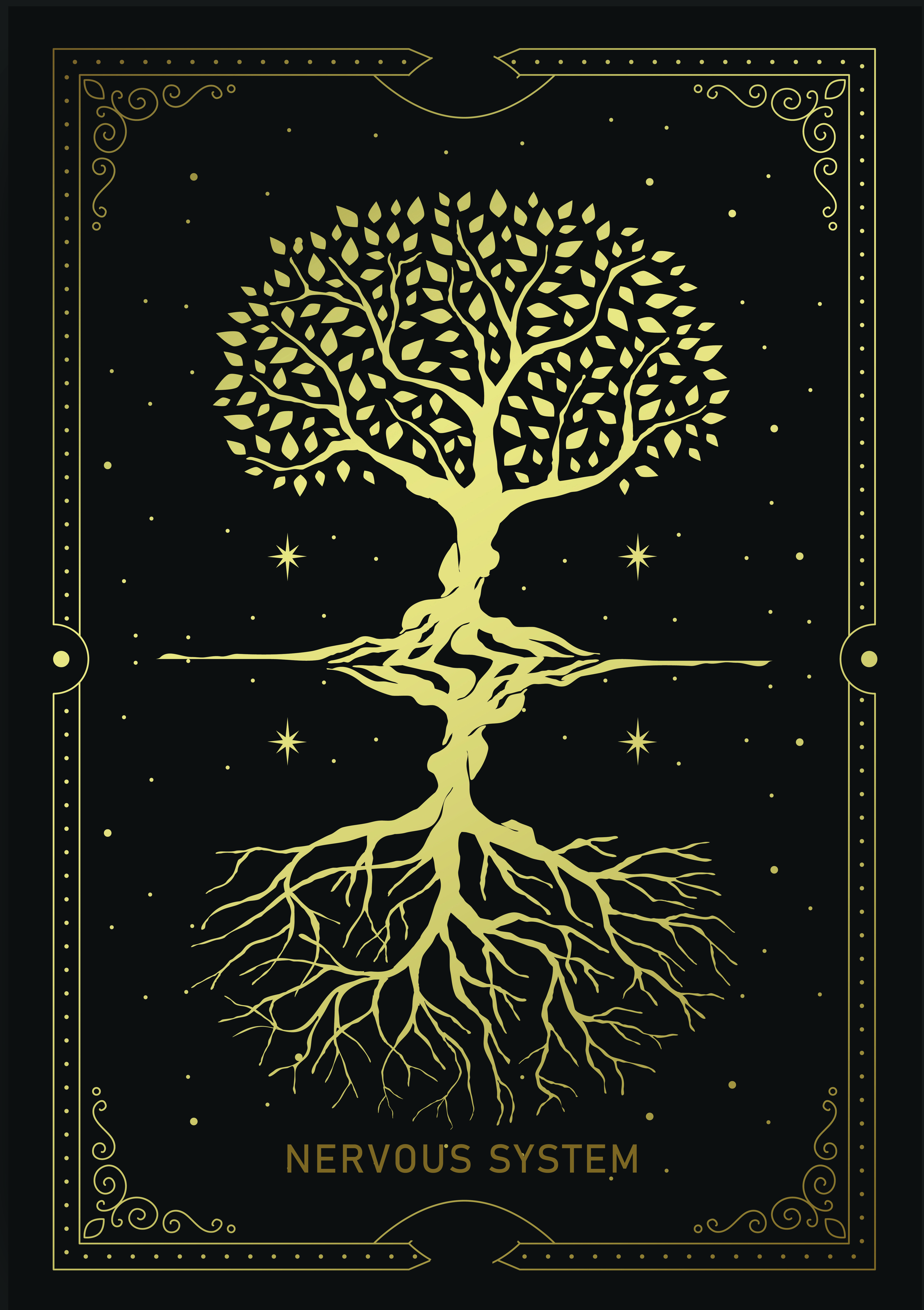 Blueprint of the Nervous System — DM + Audio