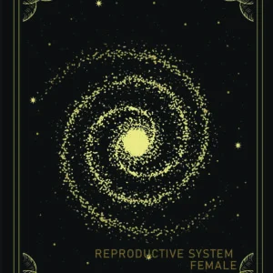 Blueprint of the Female Reproductive System — DM + Audio