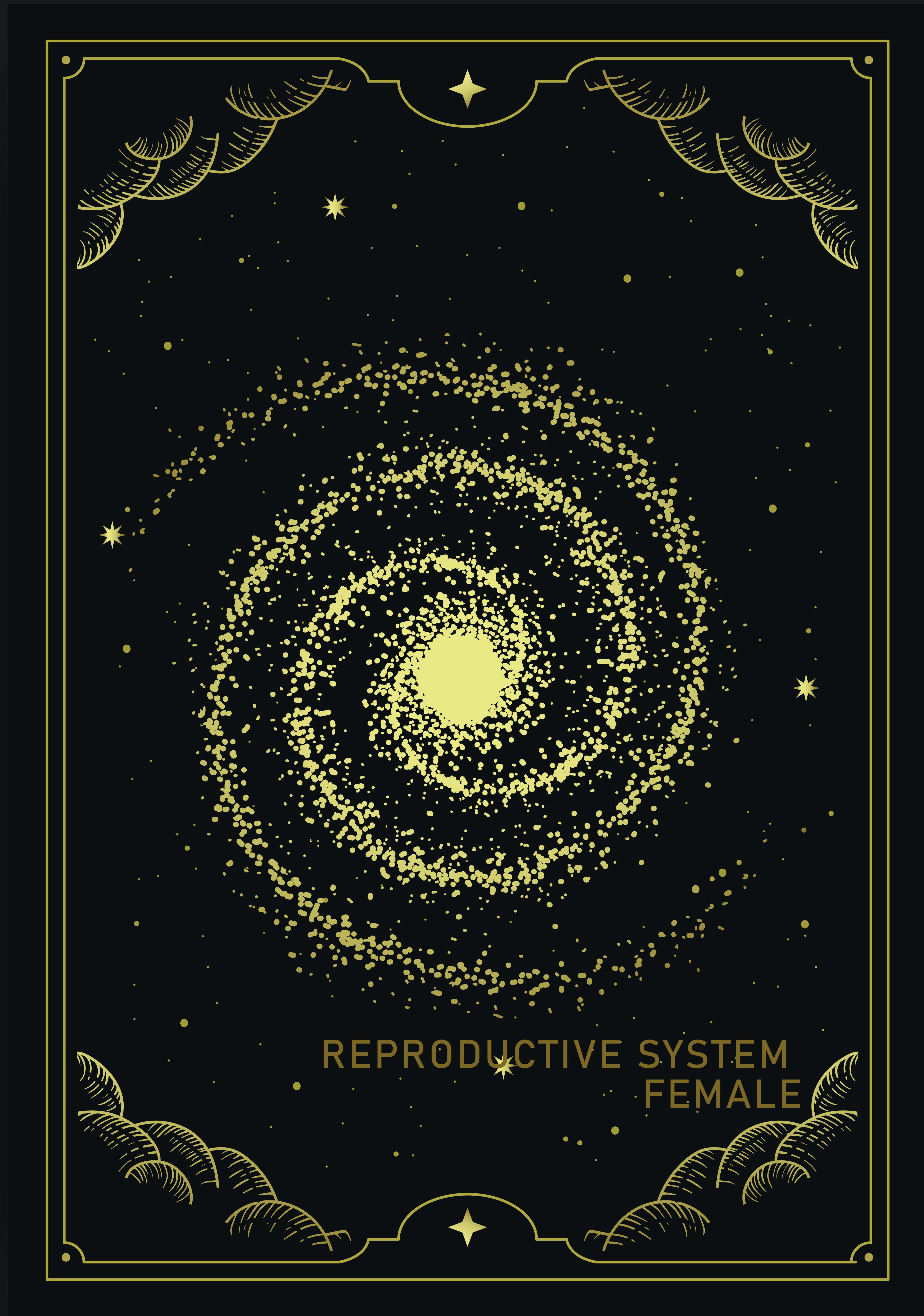 Blueprint of the Female Reproductive System — DM + Audio