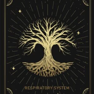 Blueprint of the Respiratory System — DM + Audio