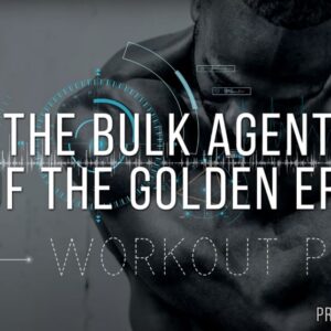 The Bulk agent of the Golden Era