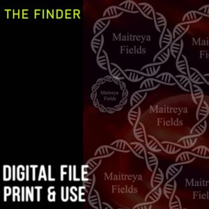 The Finder [DM + Audio]