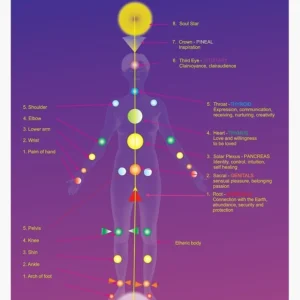 Minor Chakras Powerful Plus +11x(Extra Strong)